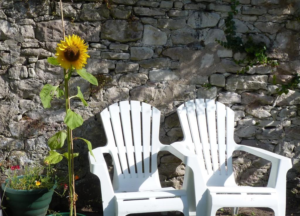 Rose cottage Millport Esterno foto